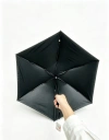 A fresh and artistic umbrella details Picture